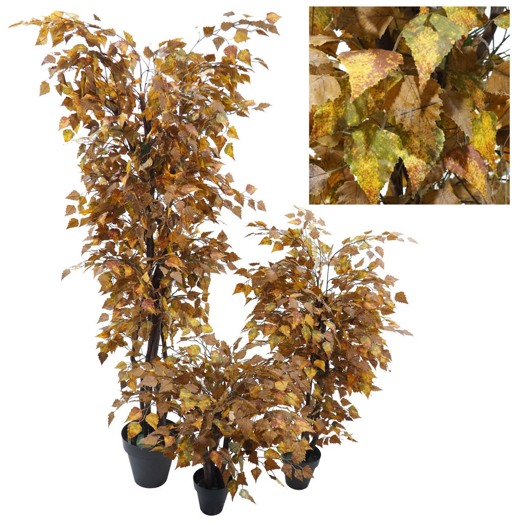 Arbol de Betula marrn tronco trenzado - 210cm