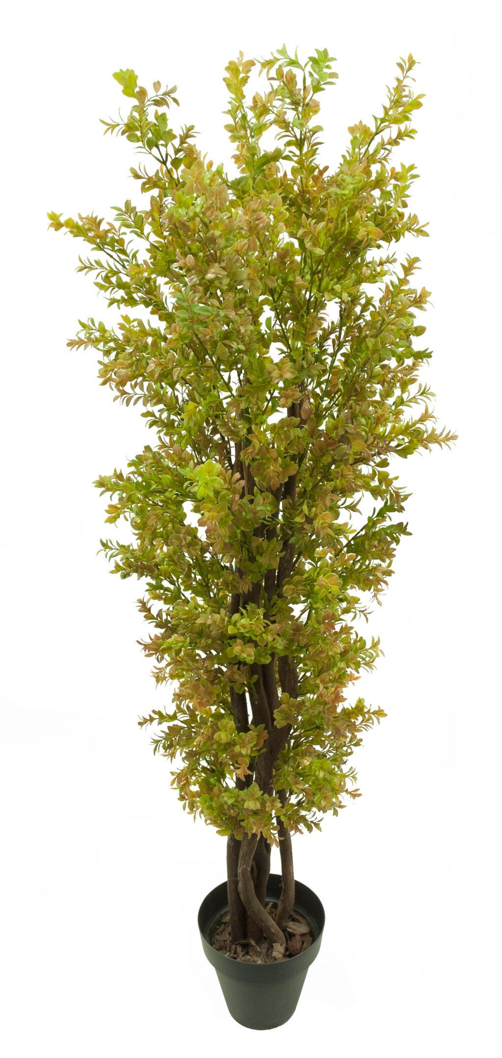 Arbol de Boj otoal plastico- 210cm.