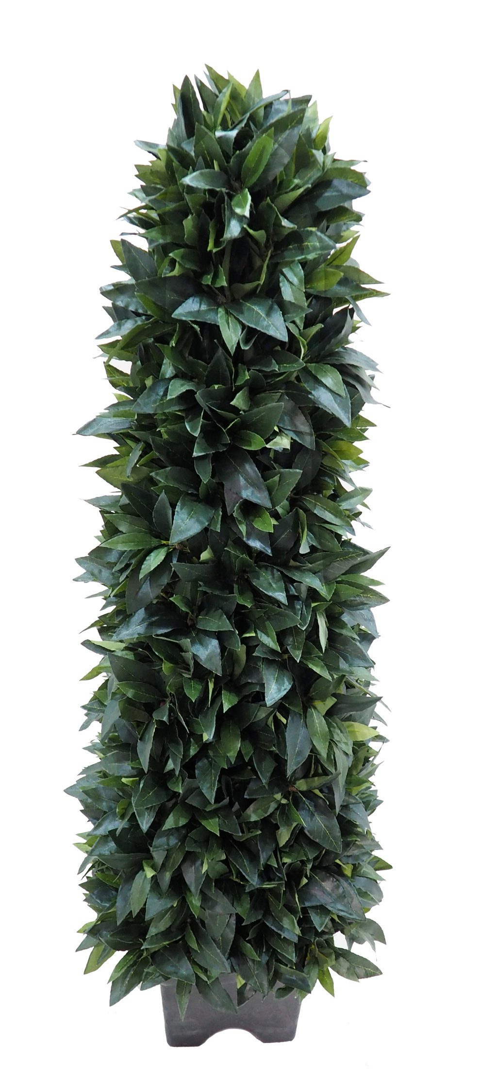 Piramide de Laurel c/mac.plastico 40x40 - 120cm Piramide de Laurel c/mac.plastico 40x40 - 120cm