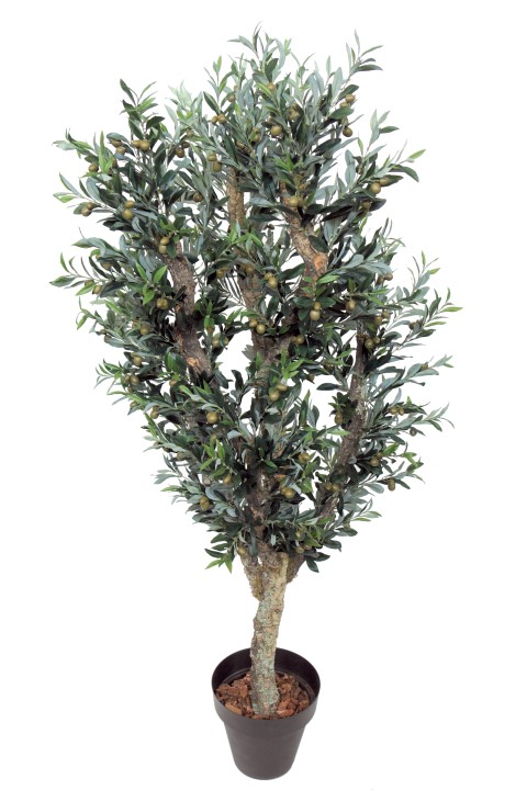 Arbol de olivo 6 Troncos Rustico Ramificado -210cm Arbol de olivo 6 Troncos Rustico Ramificado -210cm
