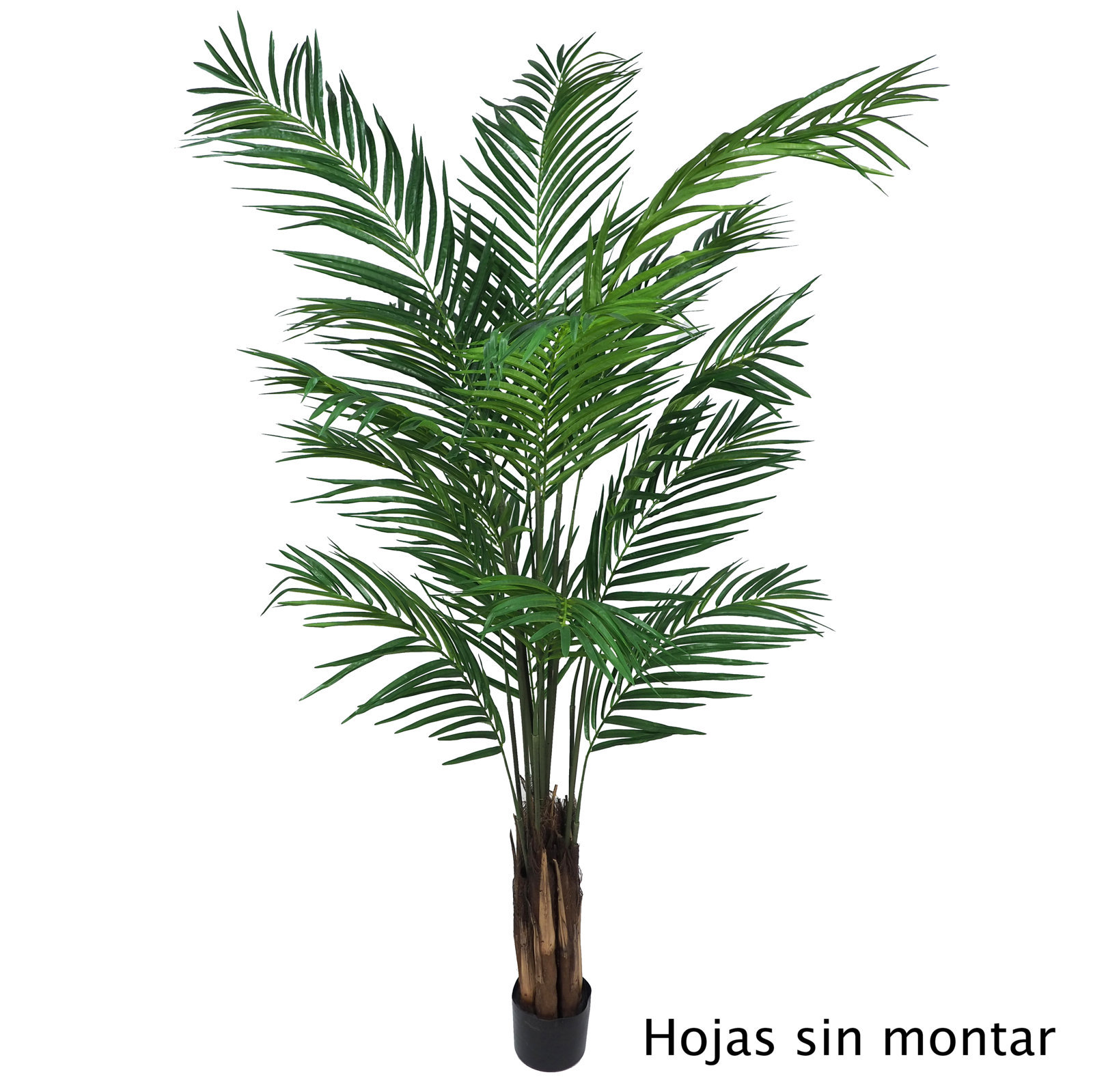 Areca Luxe con maceta - 180cm (Sin montar) Areca Luxe con maceta - 180cm (Sin montar)