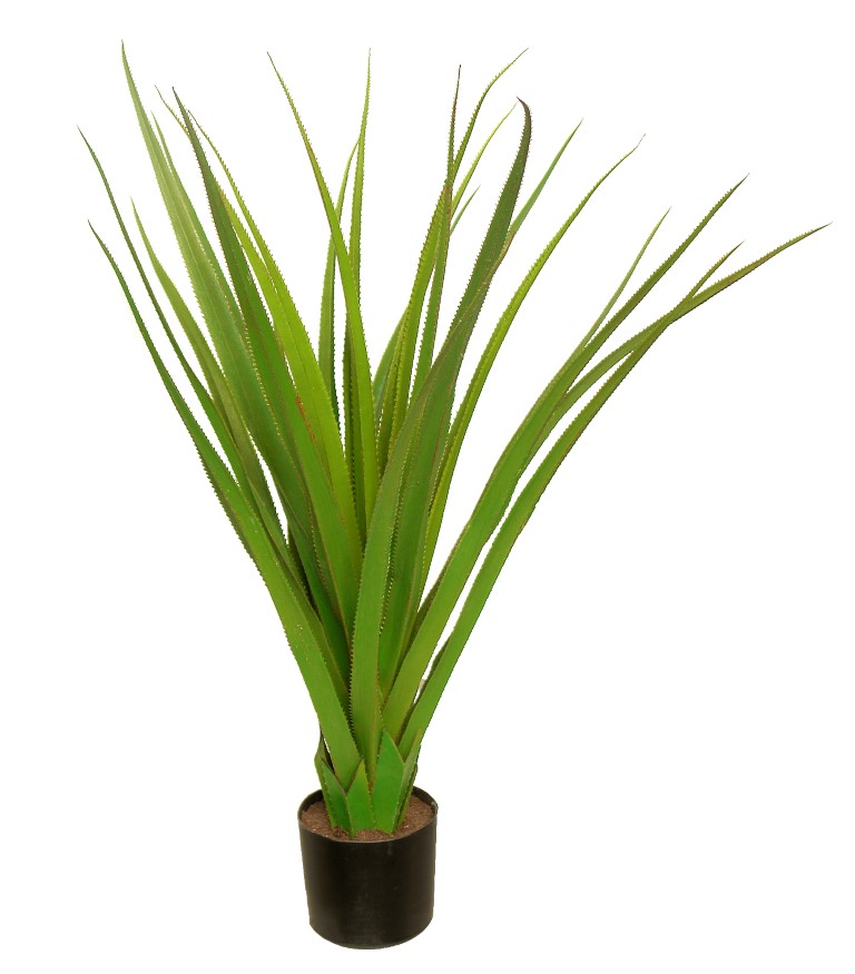 Yuca Pandanus Plastico - 100cm.