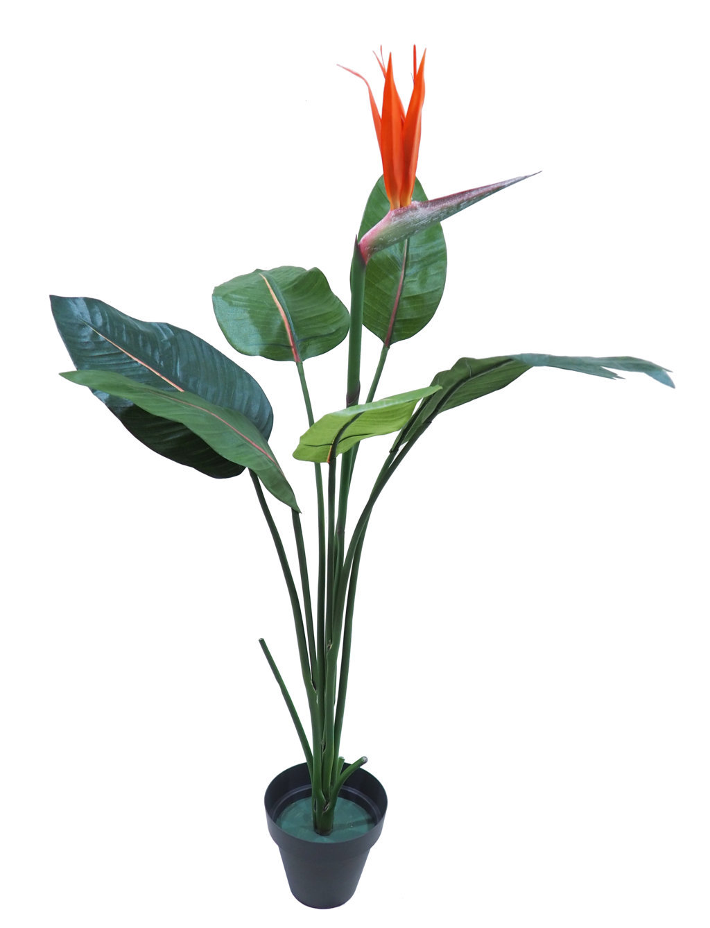 Ave del paraiso con 1 flores+7hojas - 116cm.C/M Ave del paraiso con 1 flores+7hojas - 116cm.C/M