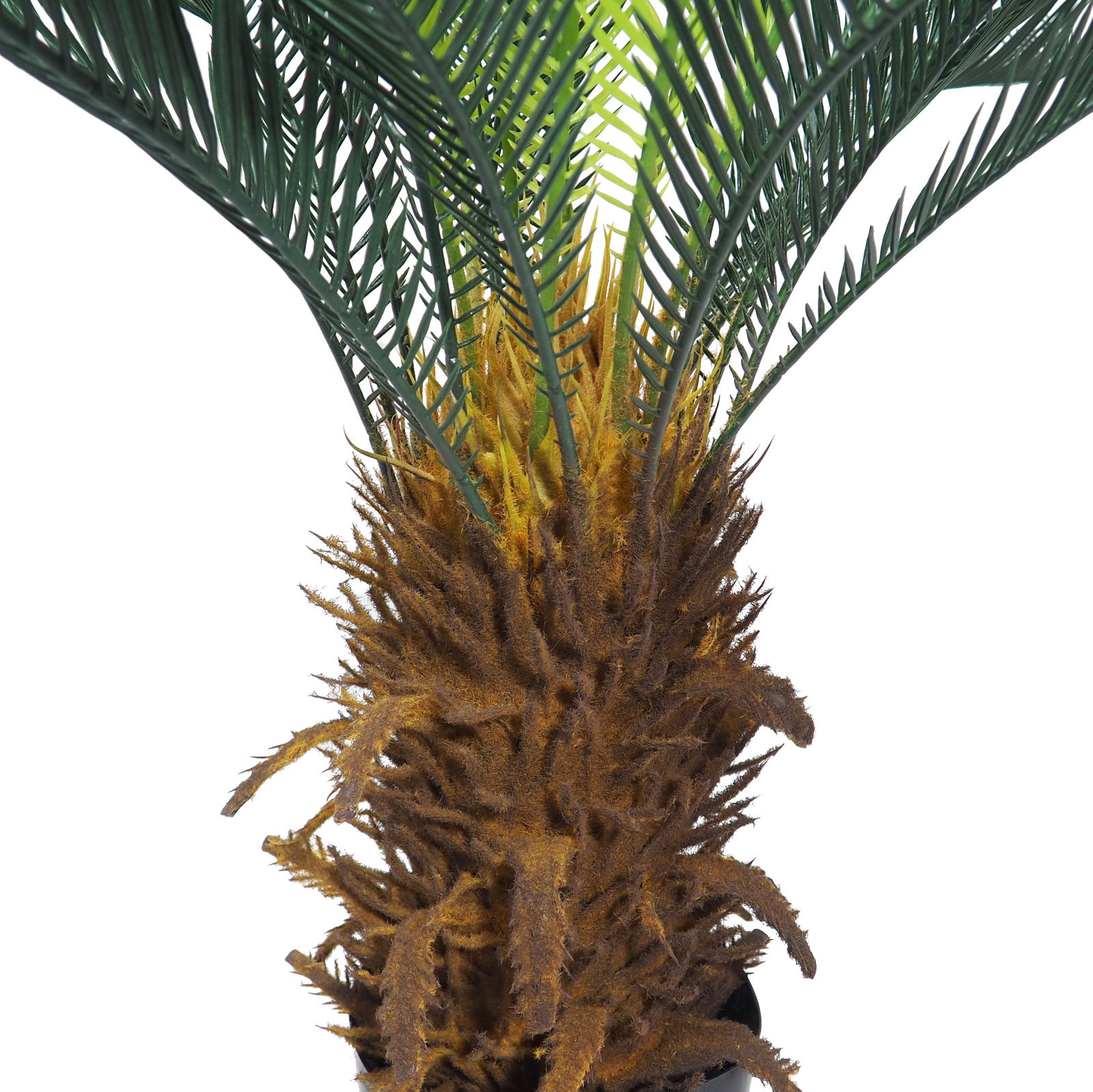 Cyca verde con maceta -110cm.