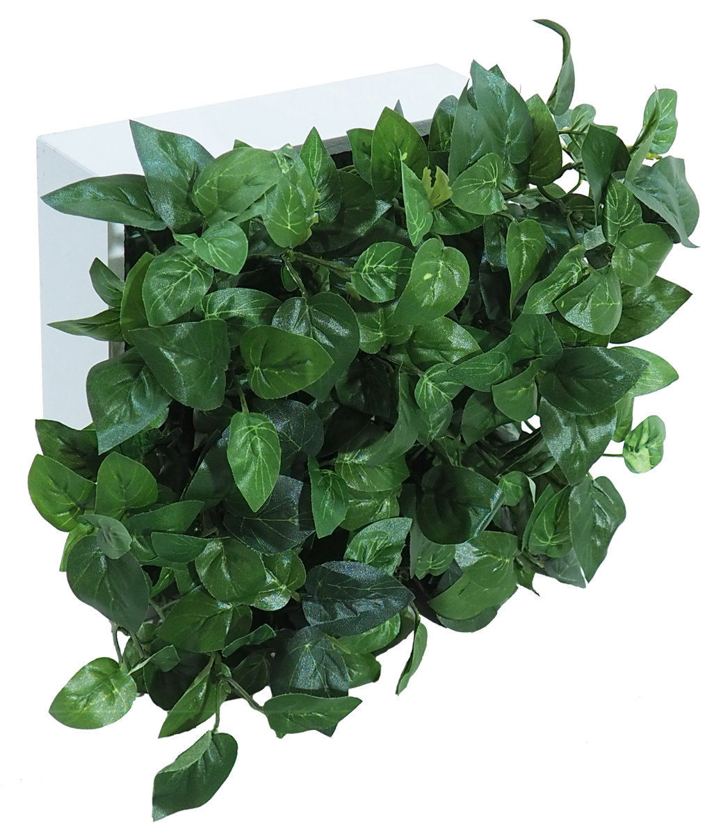 Concobox Philo Verde base blanca - 20x20cm Concobox Philo Verde base blanca - 20x20cm