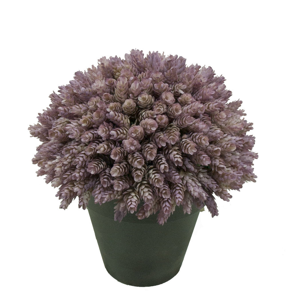 1/2 bola C.Piña Otoñal maceta plastico -Ø45cm 1/2 bola C.Piña Otoñal maceta plastico -Ø45cm