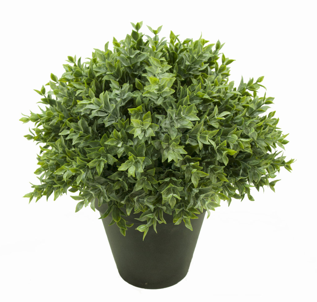 1/2 bola Te gris maceta plastico - 45cm