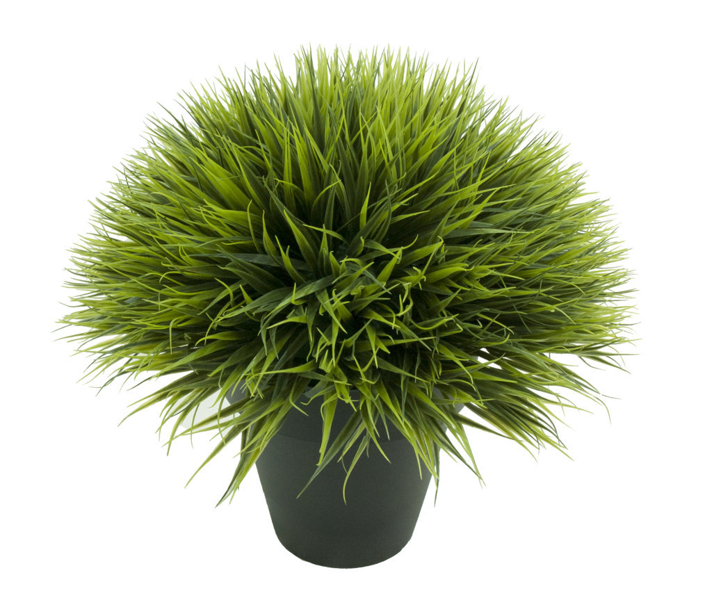1/2 bola Hierba ancha maceta plastico - 54cm