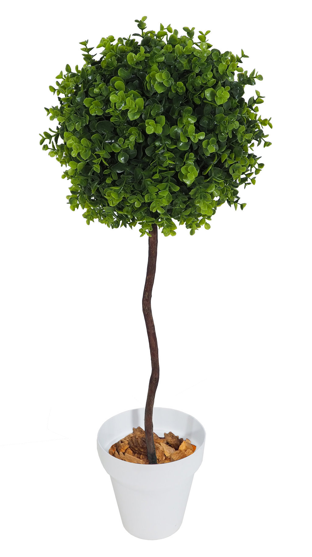 ARB.BOLA EUCALIPTUS Ø22x45cm.M/BL ARB.BOLA EUCALIPTUS Ø22x45cm.M/BL