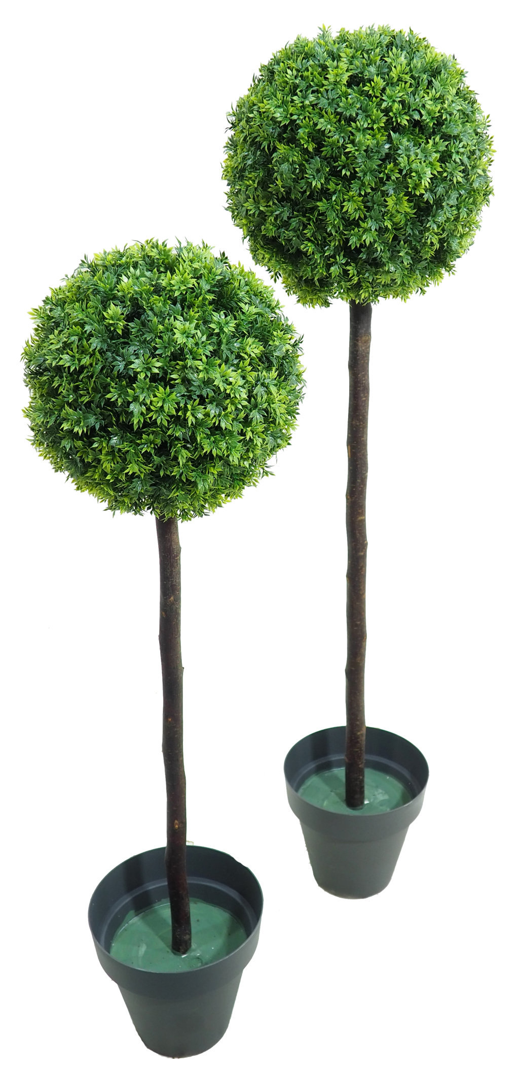 rbol de Te verde 1 bola 30 tronco recto - 100cm.
