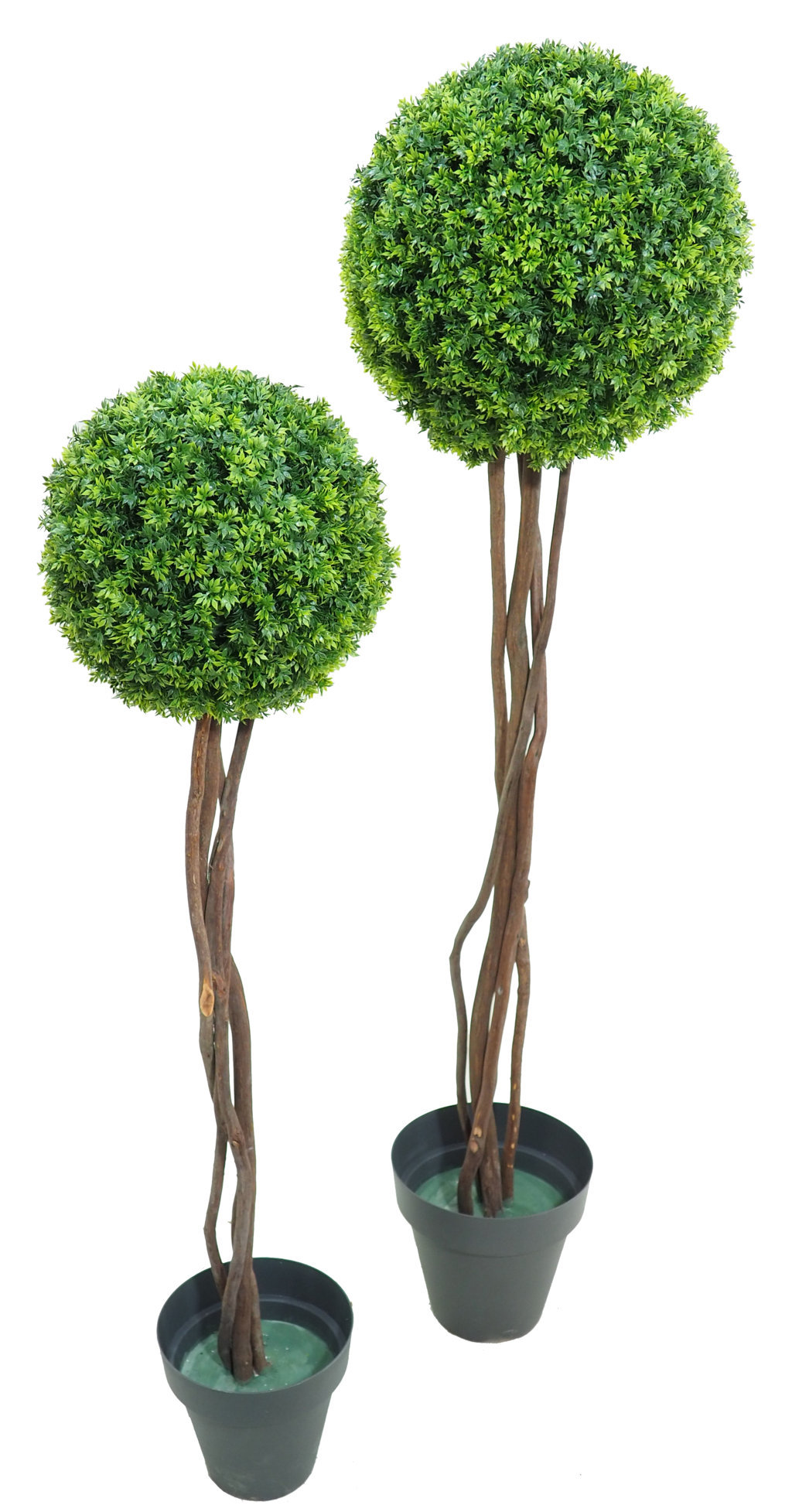 Arbol de Te verde 1 bola tronco trenzado - 120cm.