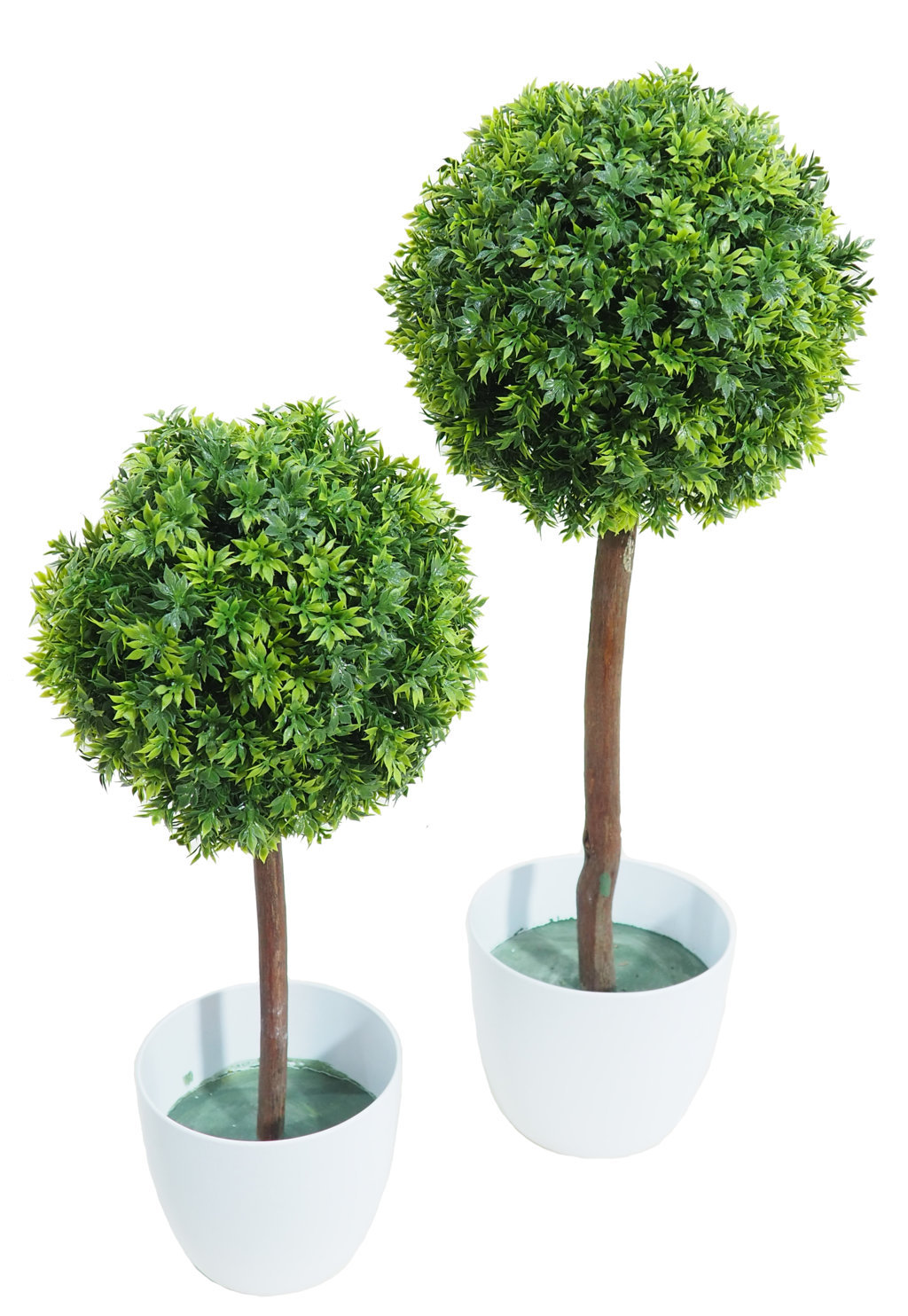 Arbol Te verde 1 bola 22 tronco recto - 45cm.