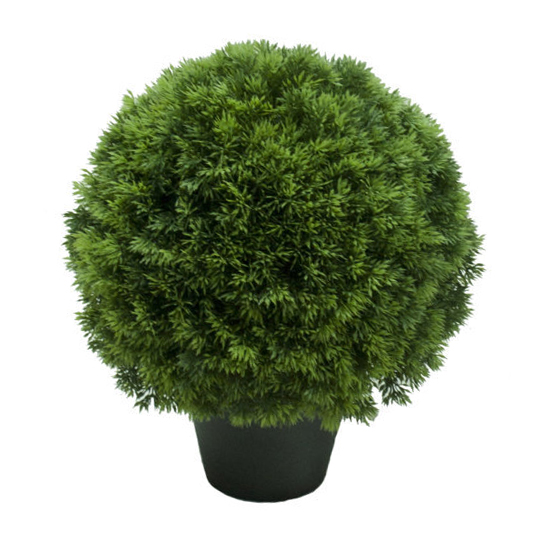 3/4 bola de Pino con maceta - Ø25cm 3/4 bola de Pino con maceta - Ø25cm