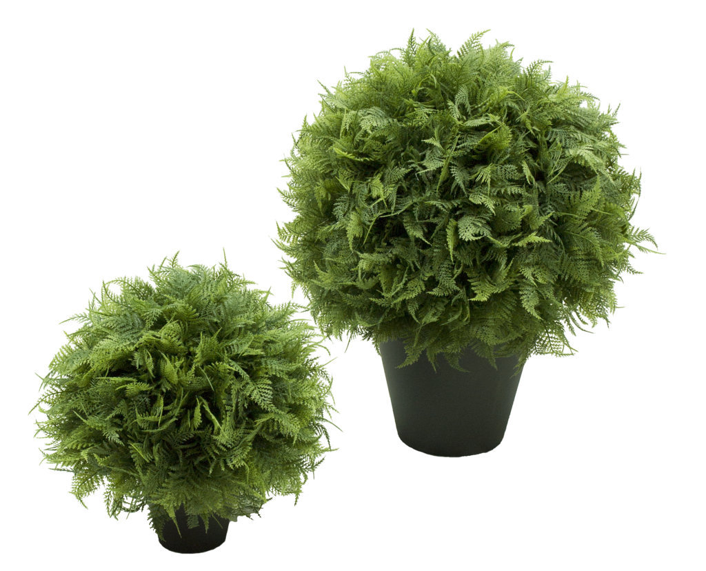 3/4 bola de Helecho con maceta - Ø25cm 3/4 bola de Helecho con maceta - Ø25cm