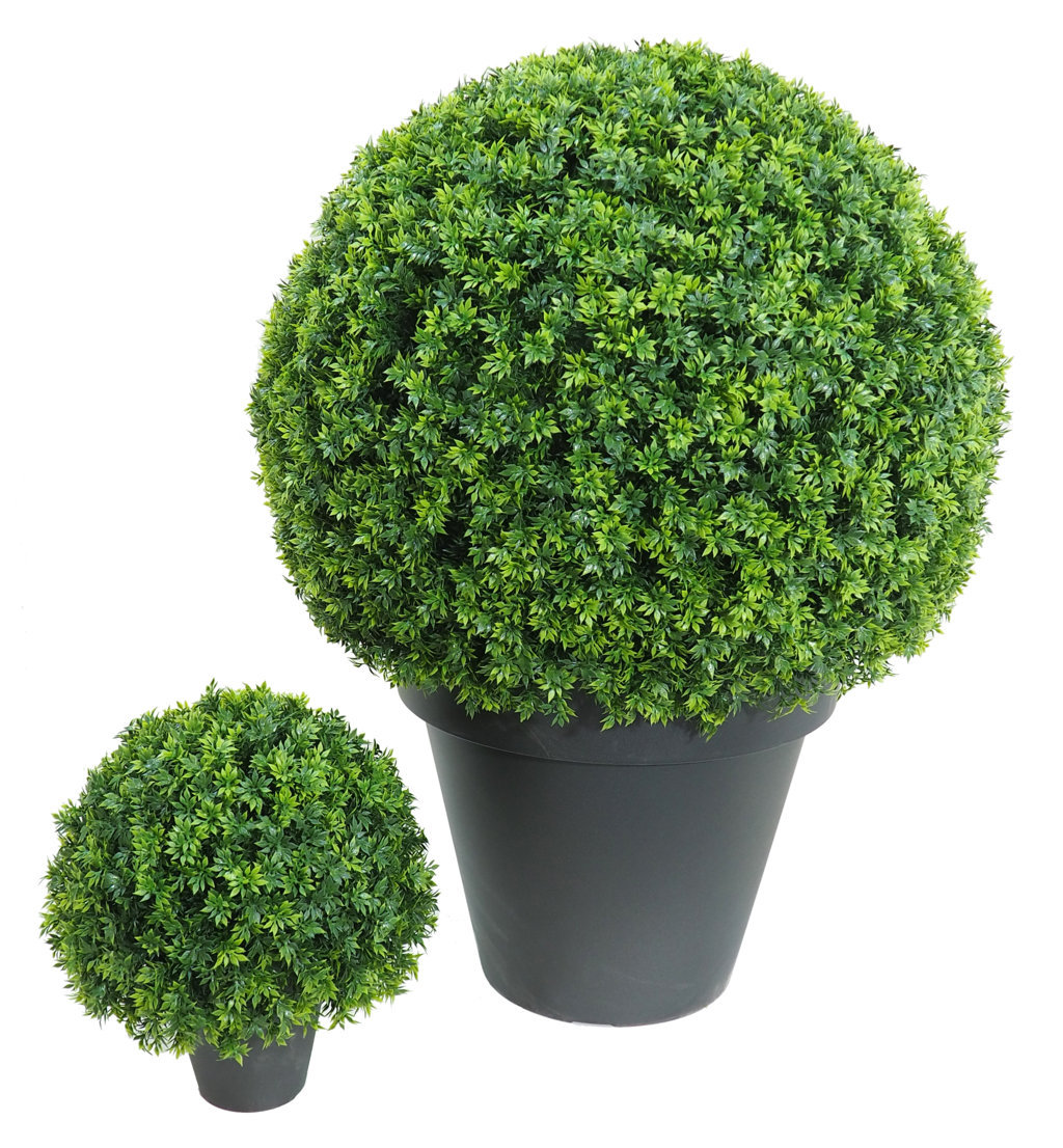 3/4 bola de Te verde con maceta - 85cm.