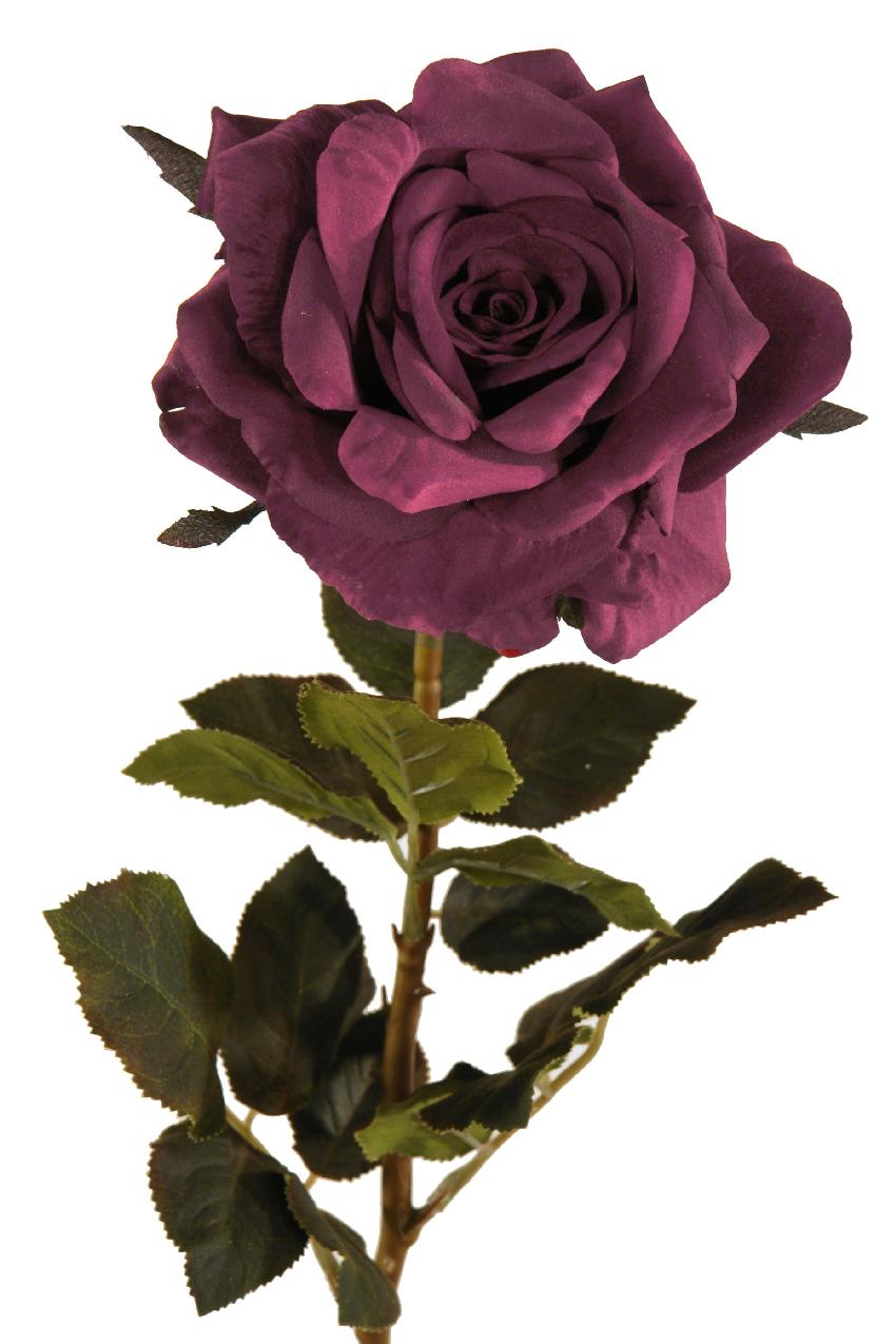 Rosa Velvet malva - 85cm Rosa Velvet malva - 85cm