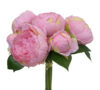 Bouquet de peonias 7 flores rosa - Ø20x28cm - Imagen 5
