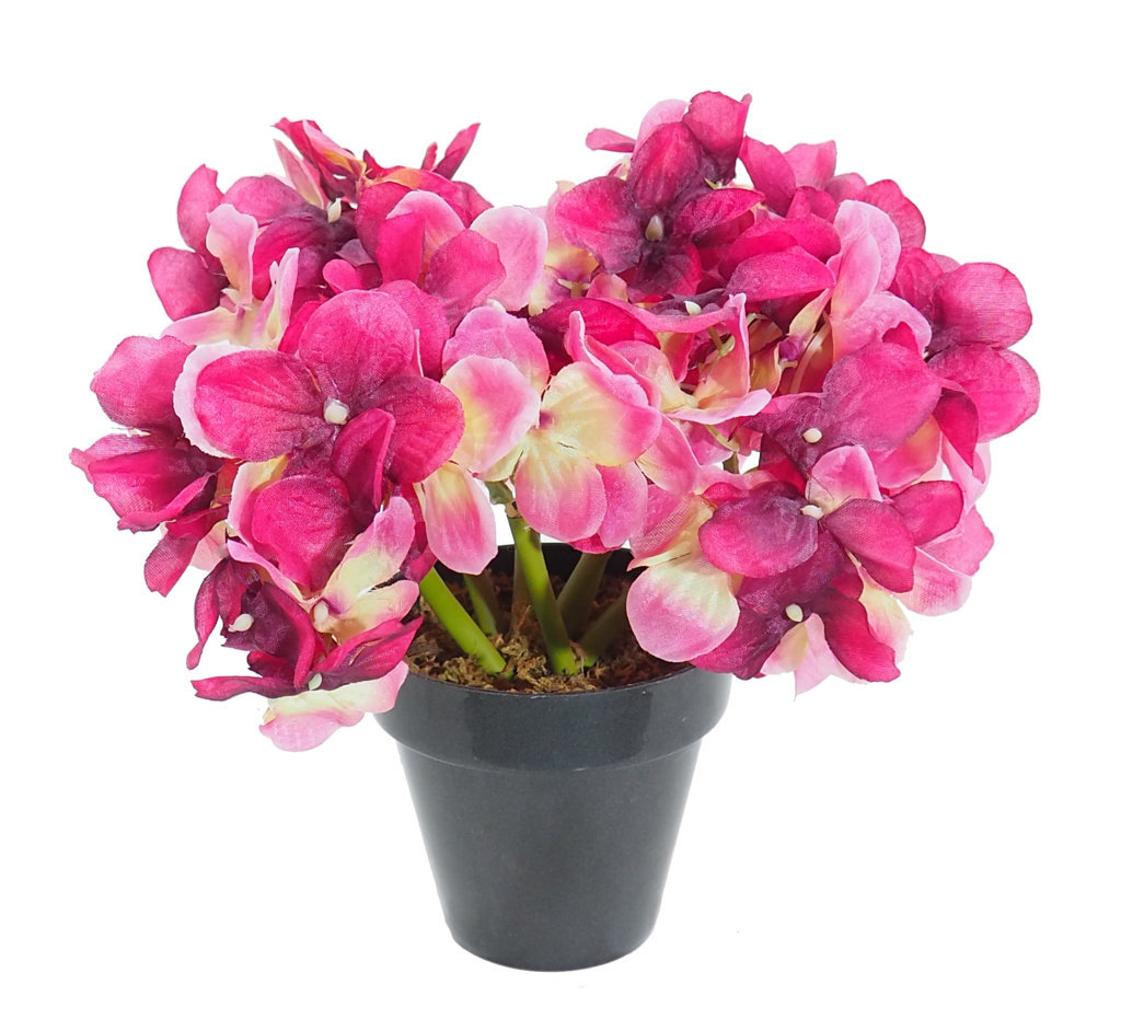 1203245A.jpg Hortensia burdeos - Ø10x22cm - Imagen 1