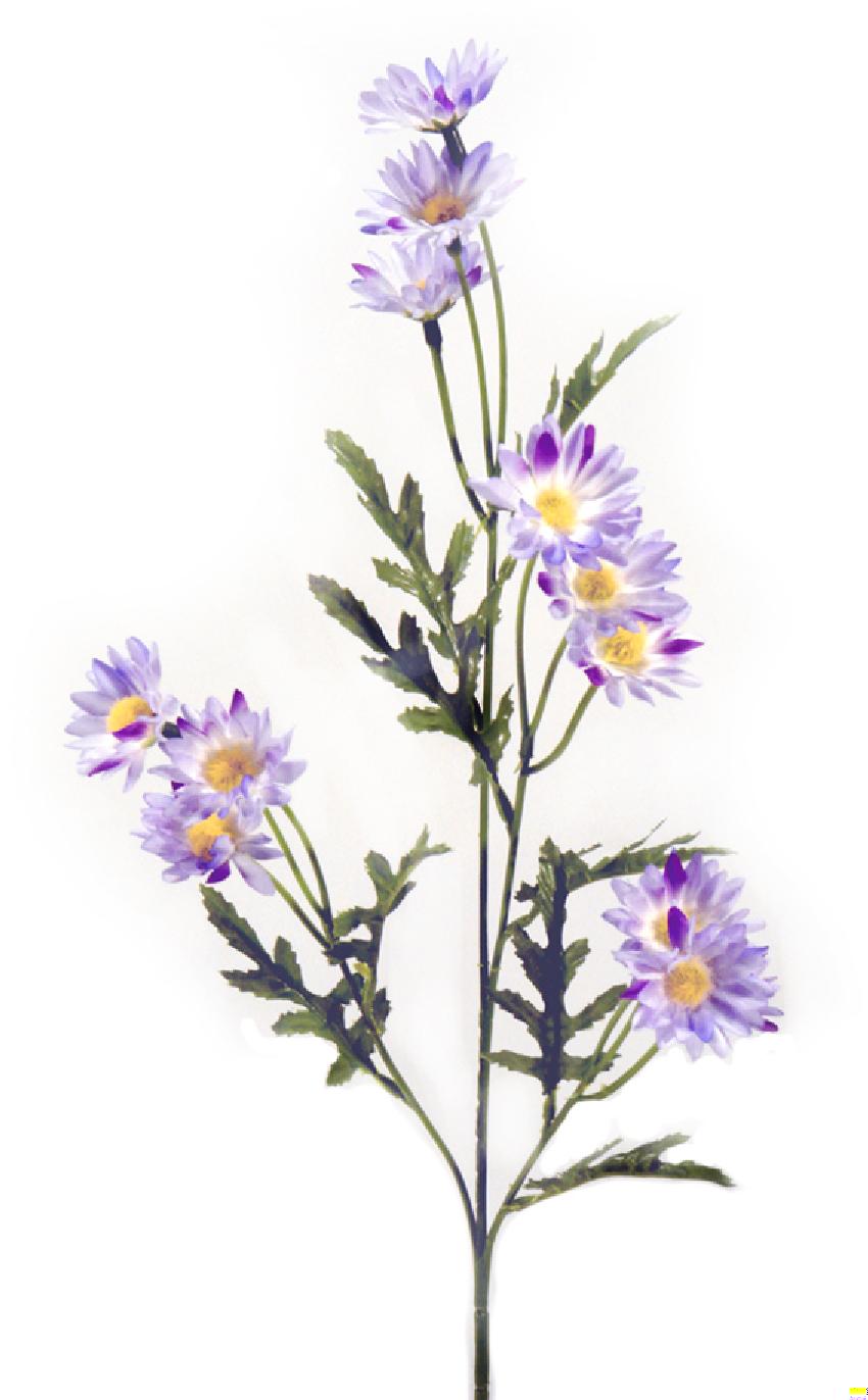 1210716.jpg Margarita violeta - 60cm - Imagen 1