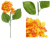 Hortensia naranja 55 cms