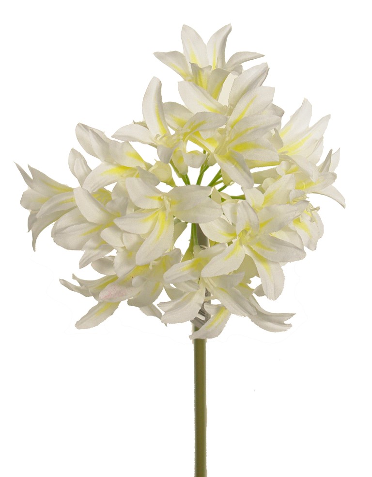 1210740.jpg Nerine crema - Ø17x95cm - Imagen 1