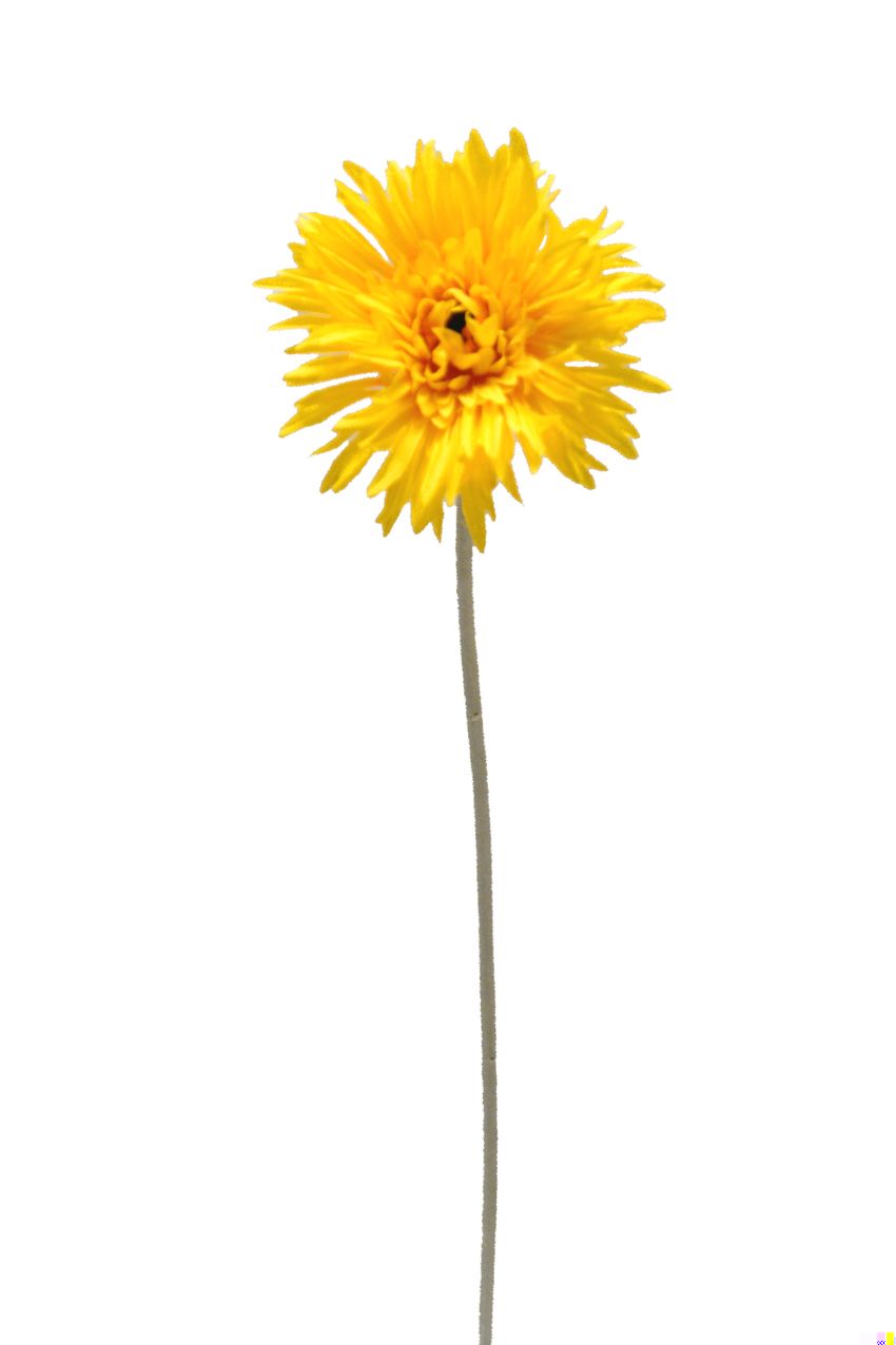 1210852.jpg Gerbera fuji amarilla - Ø12x55cm - Imagen 1
