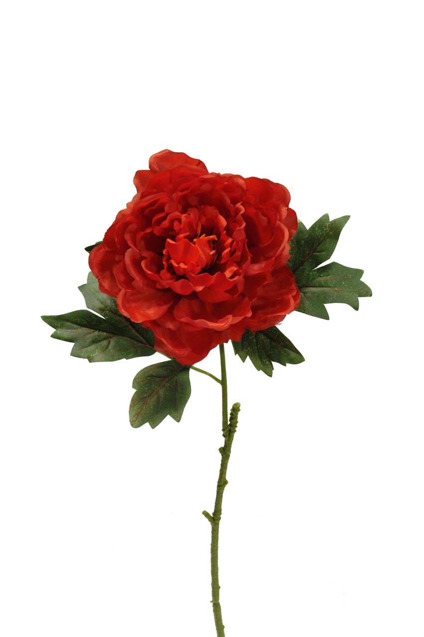 1210875.jpg Peonia roja - Ø11x50cm - Imagen 1