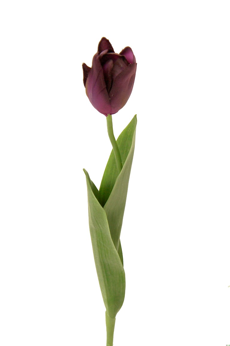 1210976.jpg Tulipán lila - 46cm - Imagen 1