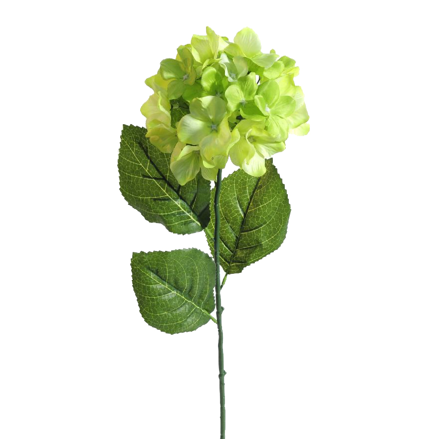 1211061.jpg Hortensia verde - Ø15x63cm - Imagen 1