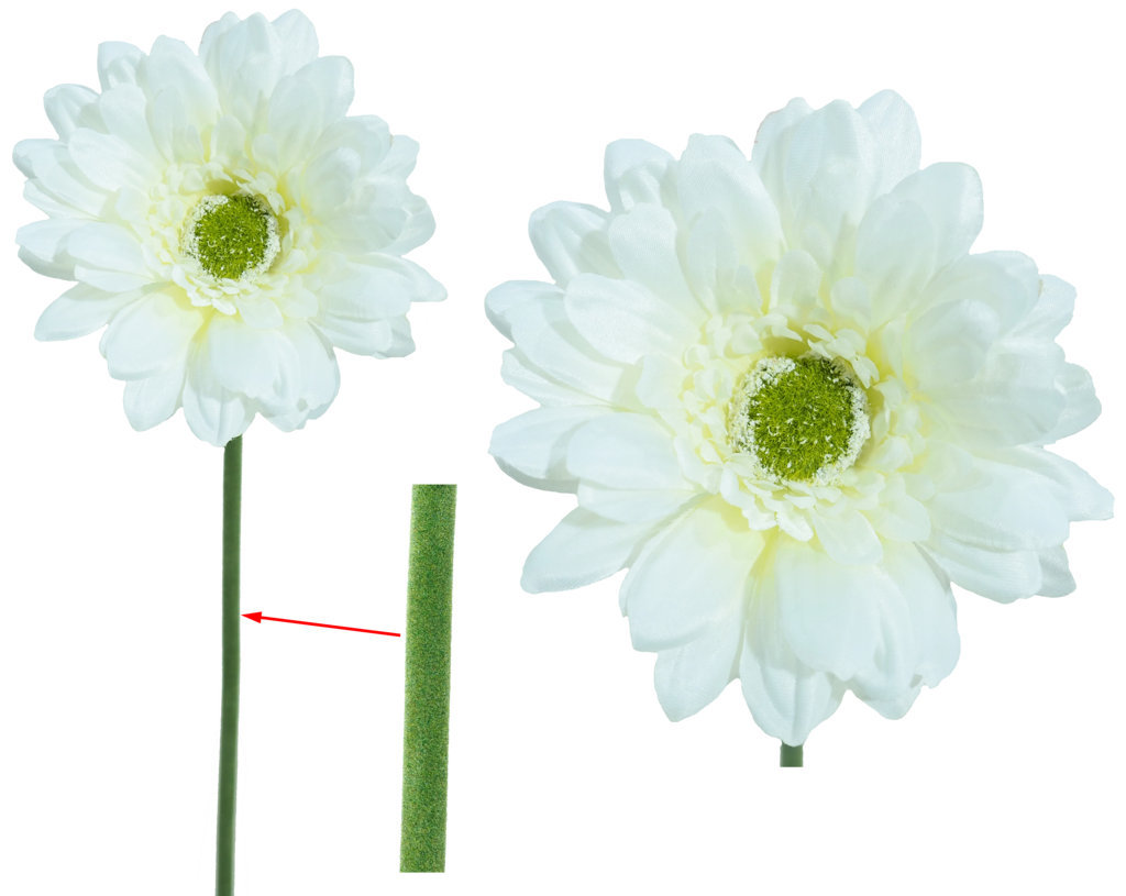 1211170.jpg Gerbera crema - Ø11x55cm - Imagen 1