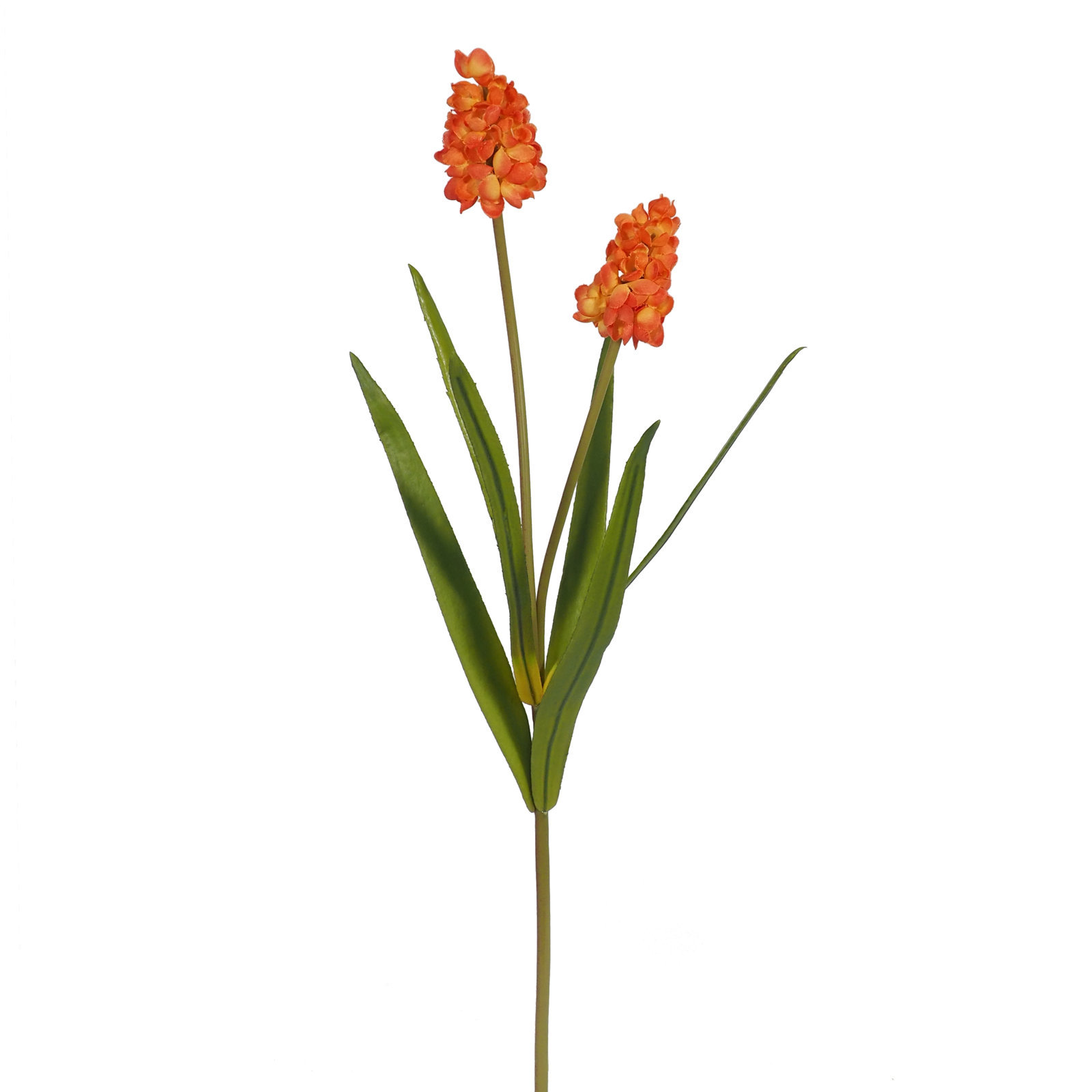1220668N.jpg Muscari Naranja - 55cm - Imagen 1