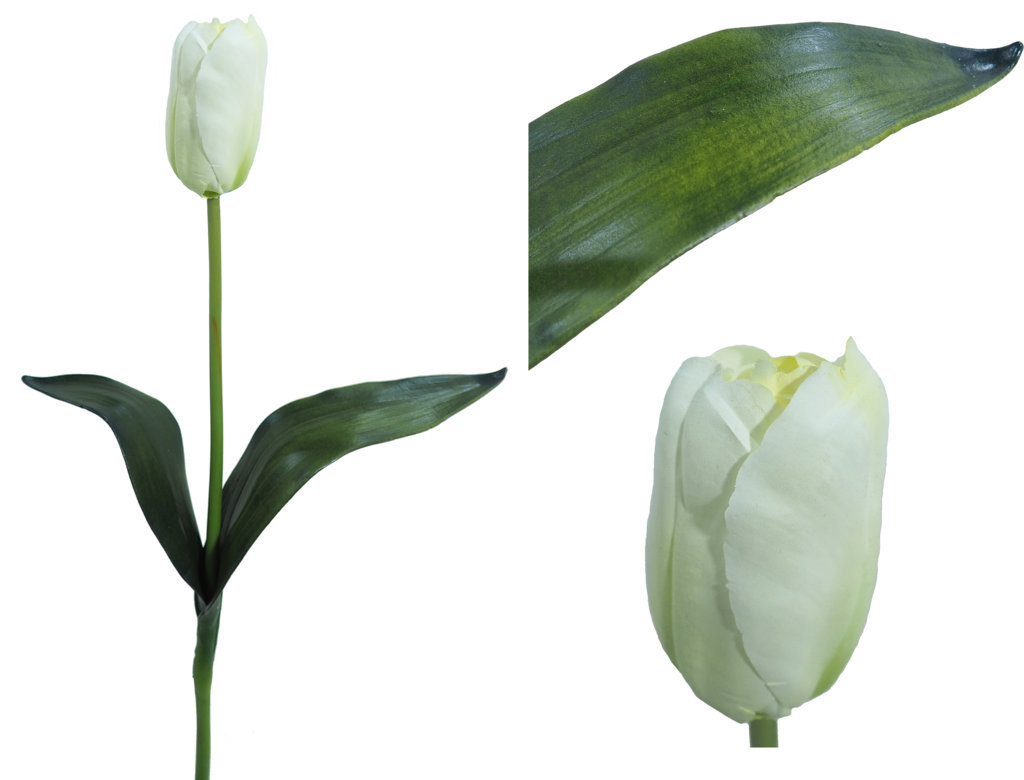 1220880.jpg Tulipán crema elegance - Ø5x58cm - Imagen 1