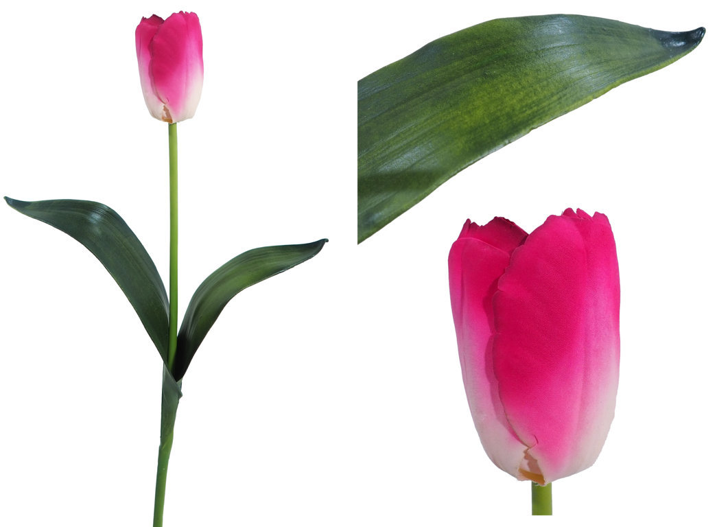 1220884.jpg Tulipán malva elegance - Ø5x58cm - Imagen 1