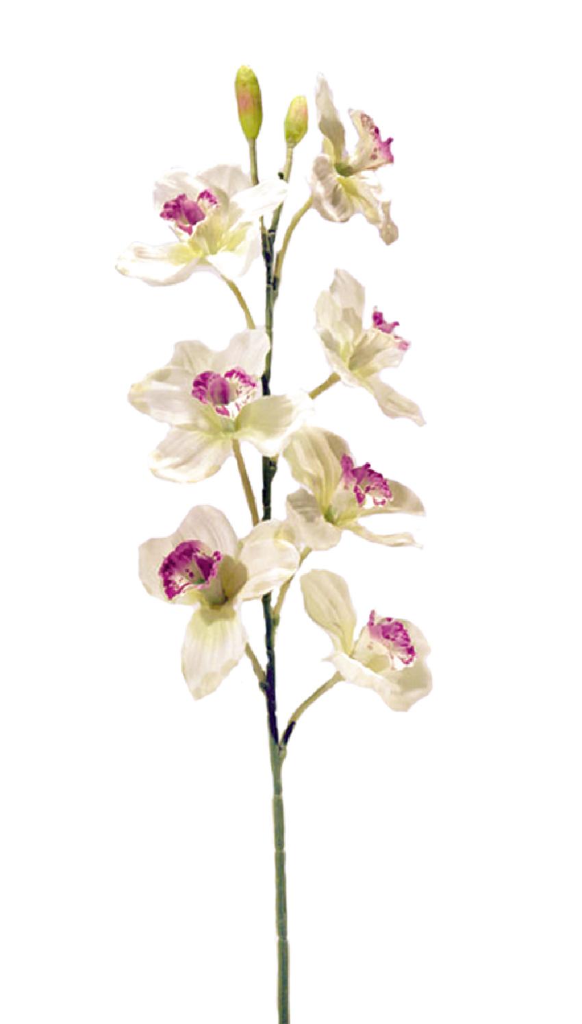 1221800.jpg Cymbidium XL crema - Ø12x80cm - Imagen 1