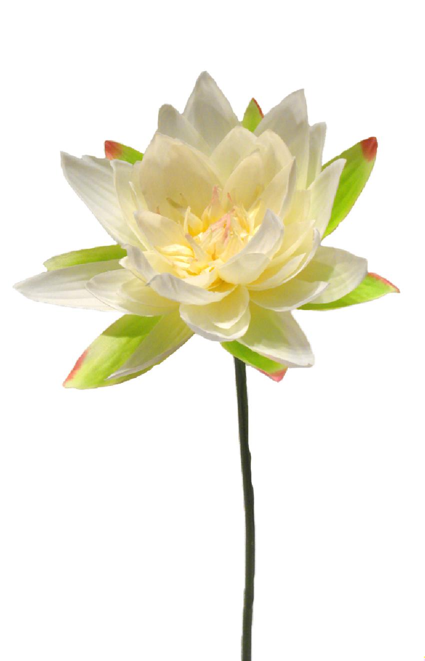 1221880.jpg Lotus crema - Ø15x75cm - Imagen 1