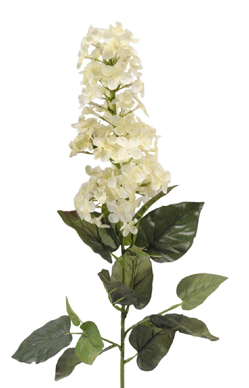 1221890.jpg Lilac crema - 78cm - Imagen 1