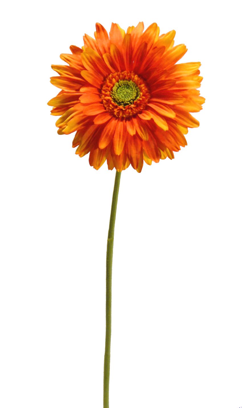 1221923.jpg Gerbera Fresh naranja - Ø17x74cm - Imagen 1