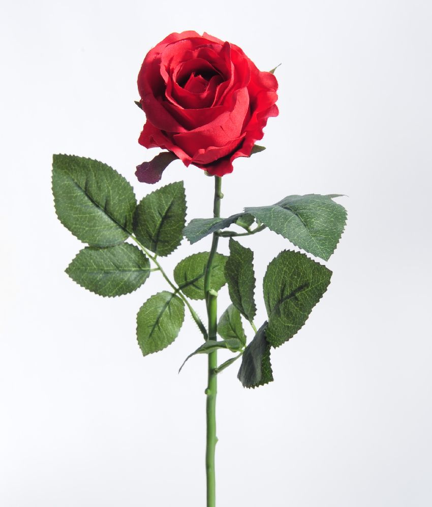 1222115.jpg Rosa roja grande - Ø9x70cm - Imagen 1