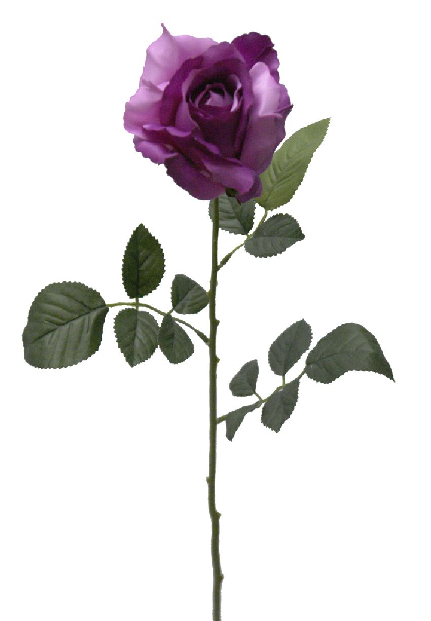 1222176.jpg Rosa basic violeta - Ø12x70cm - Imagen 1