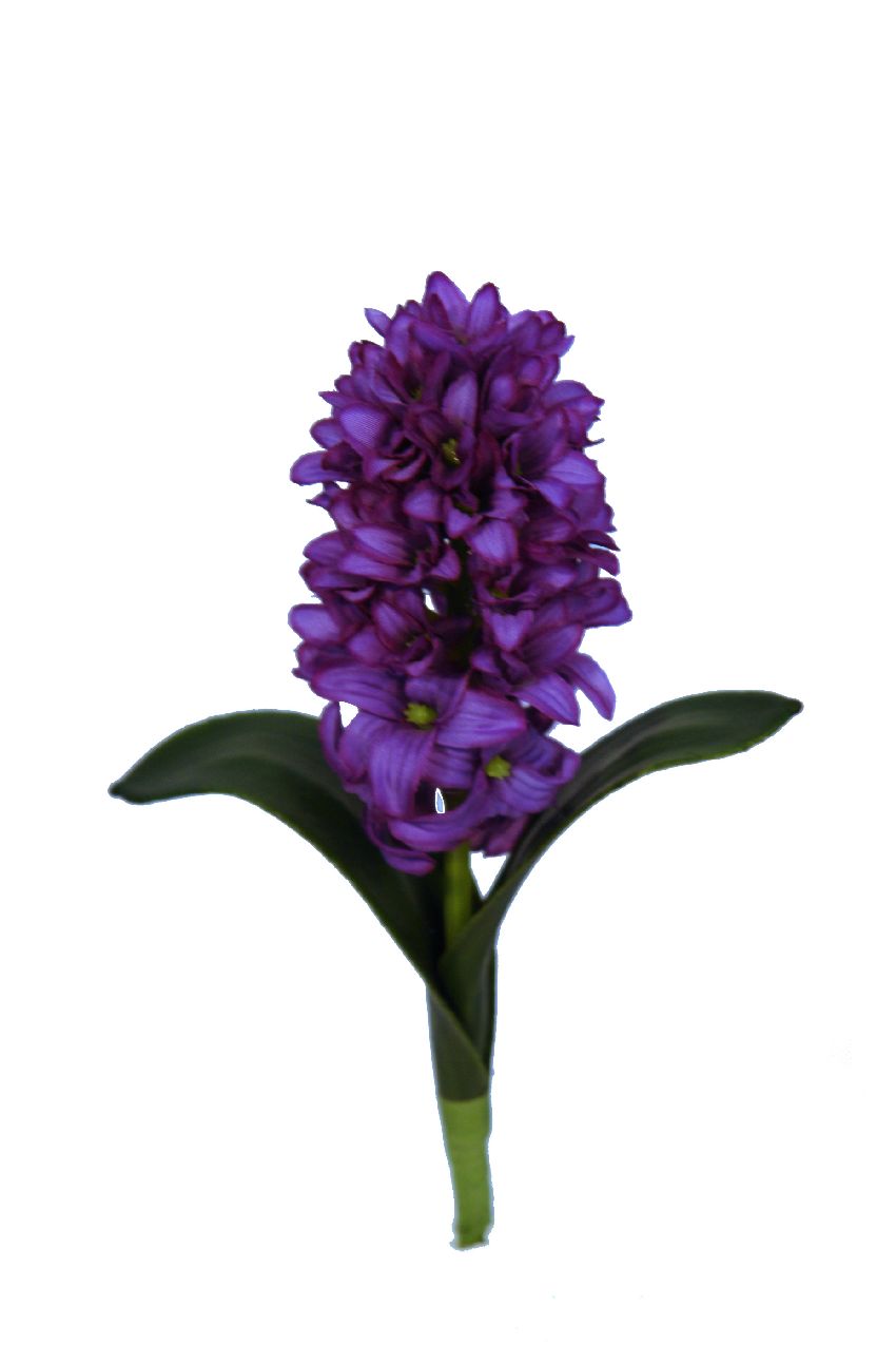1222186.jpg Jacinto violeta - 26cm - Imagen 1