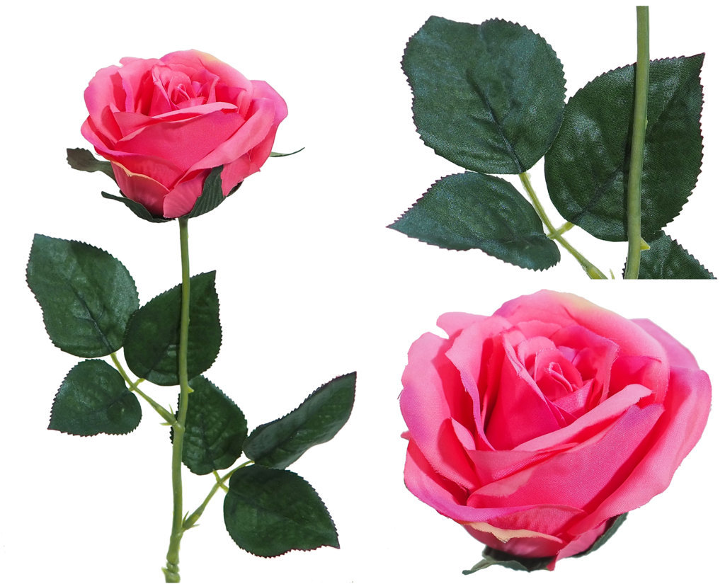 1222194.jpg Rosa Diana rosa - Ø7x56cm - Imagen 1