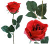 Rosa Diana roja - Ø7x56cm