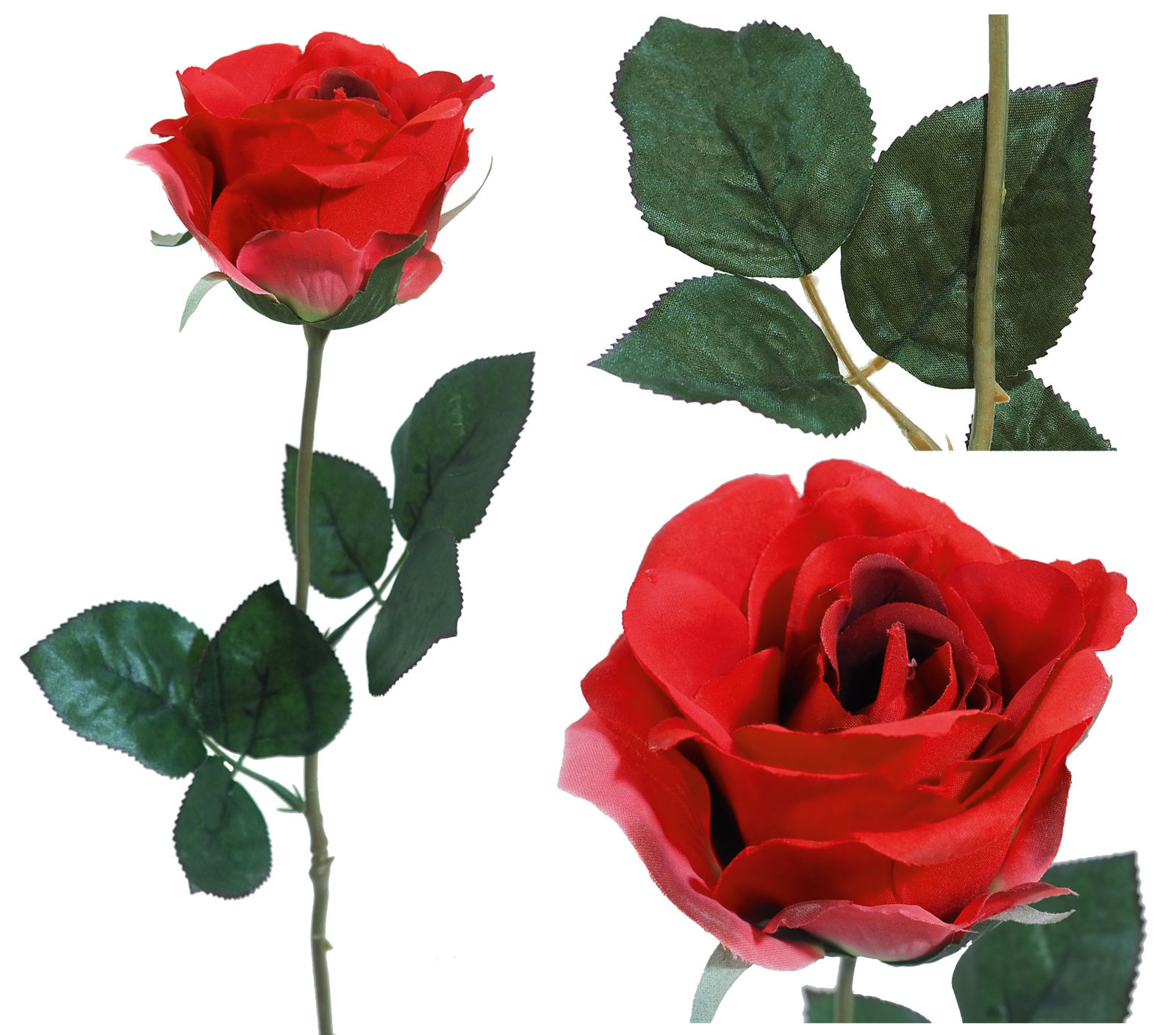 1222195 Rosa Diana roja - Ø7x56cm - Imagen 1