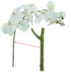 Orquídea white - 90cm