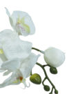 Orquídea white - 90cm - Imagen 2