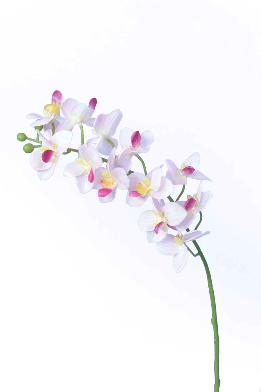 1222214.jpg Orquídea 1 tallo rosa - 55cm - Imagen 1
