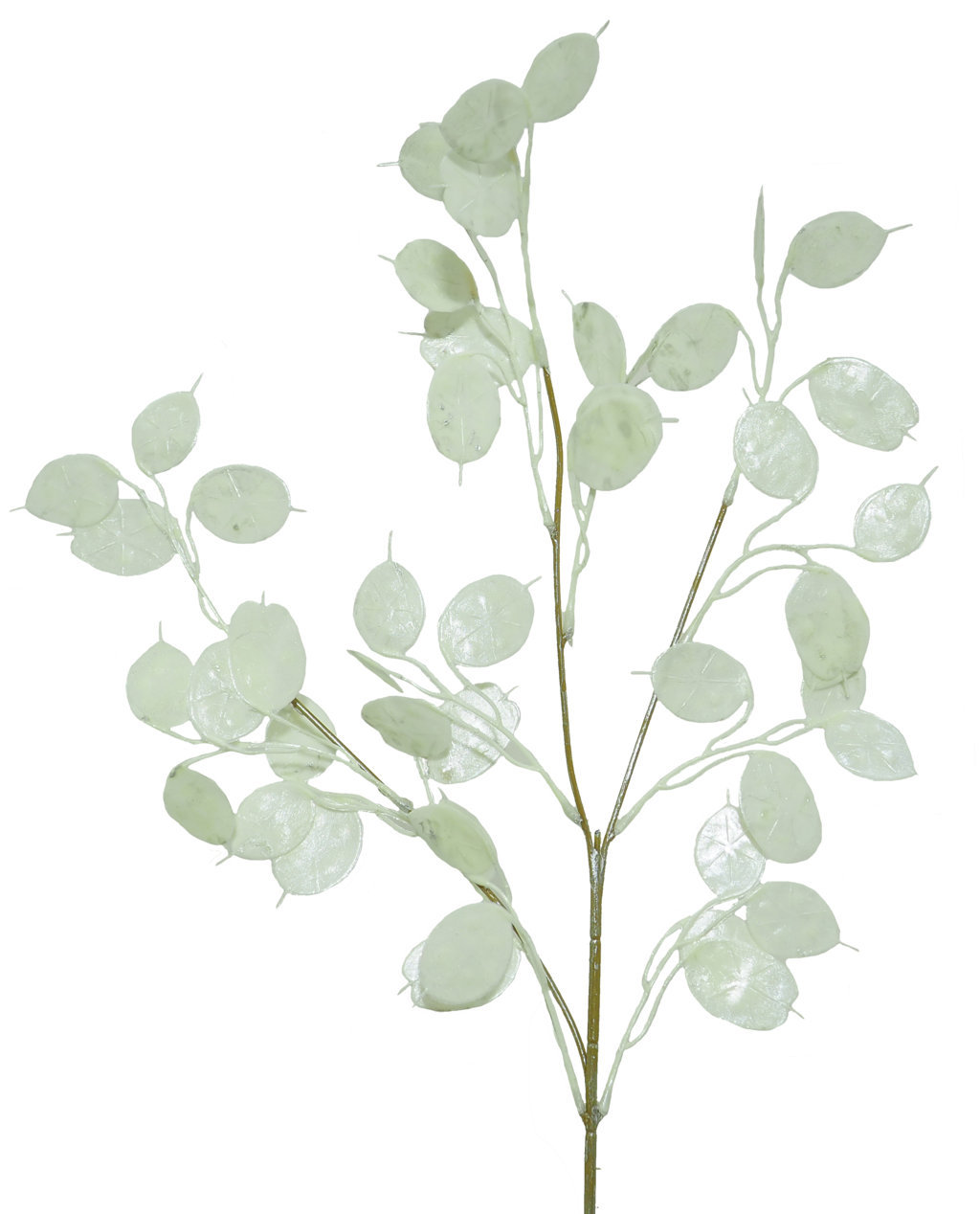 1222260.jpg Money jade blanco - 78cm - Imagen 1