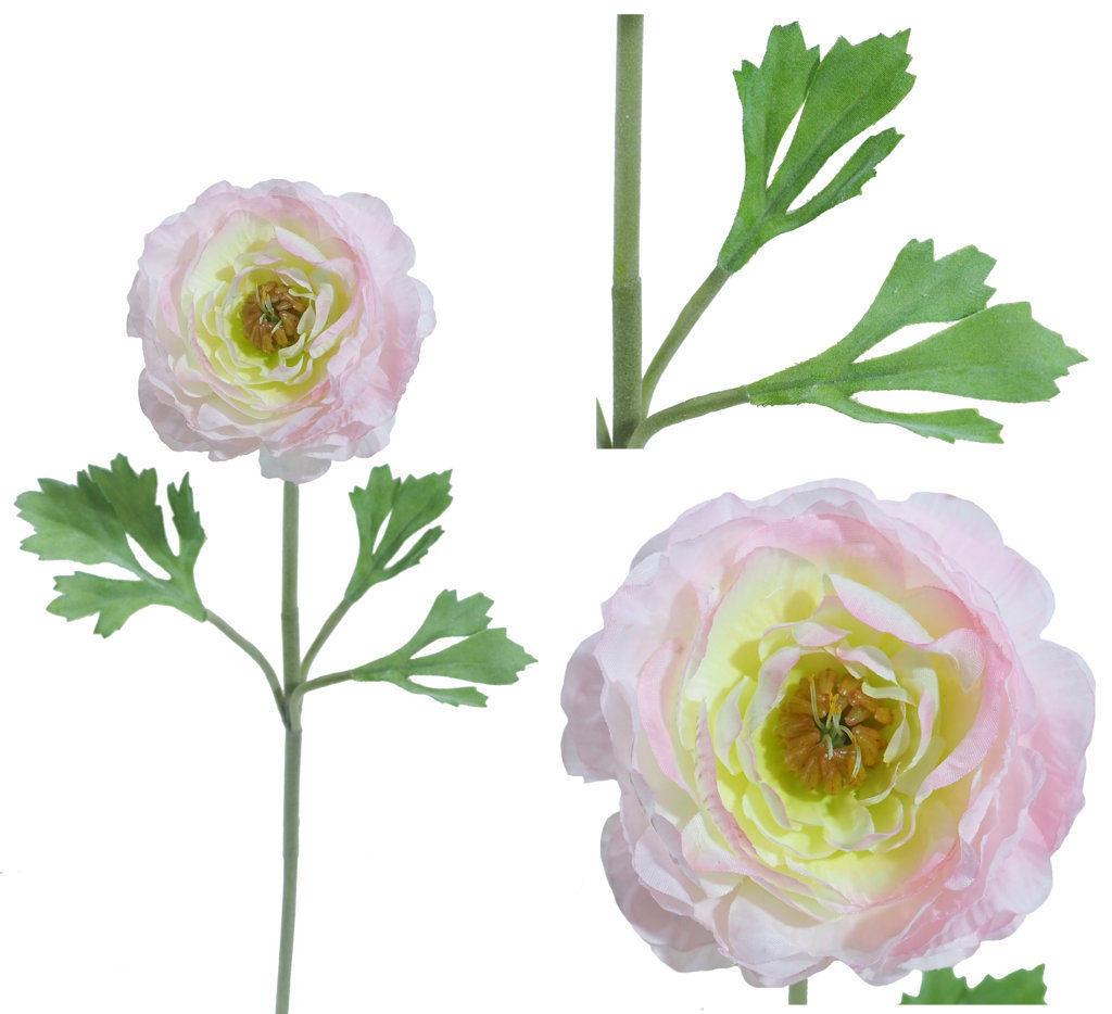 1222274.jpg Ranunculo rosa - Ø10x55cm - Imagen 1