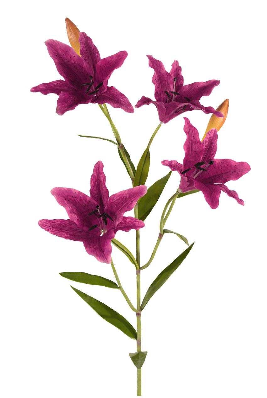 1231825.jpg Lilium oriental fucsia - Ø15x100cm - Imagen 1