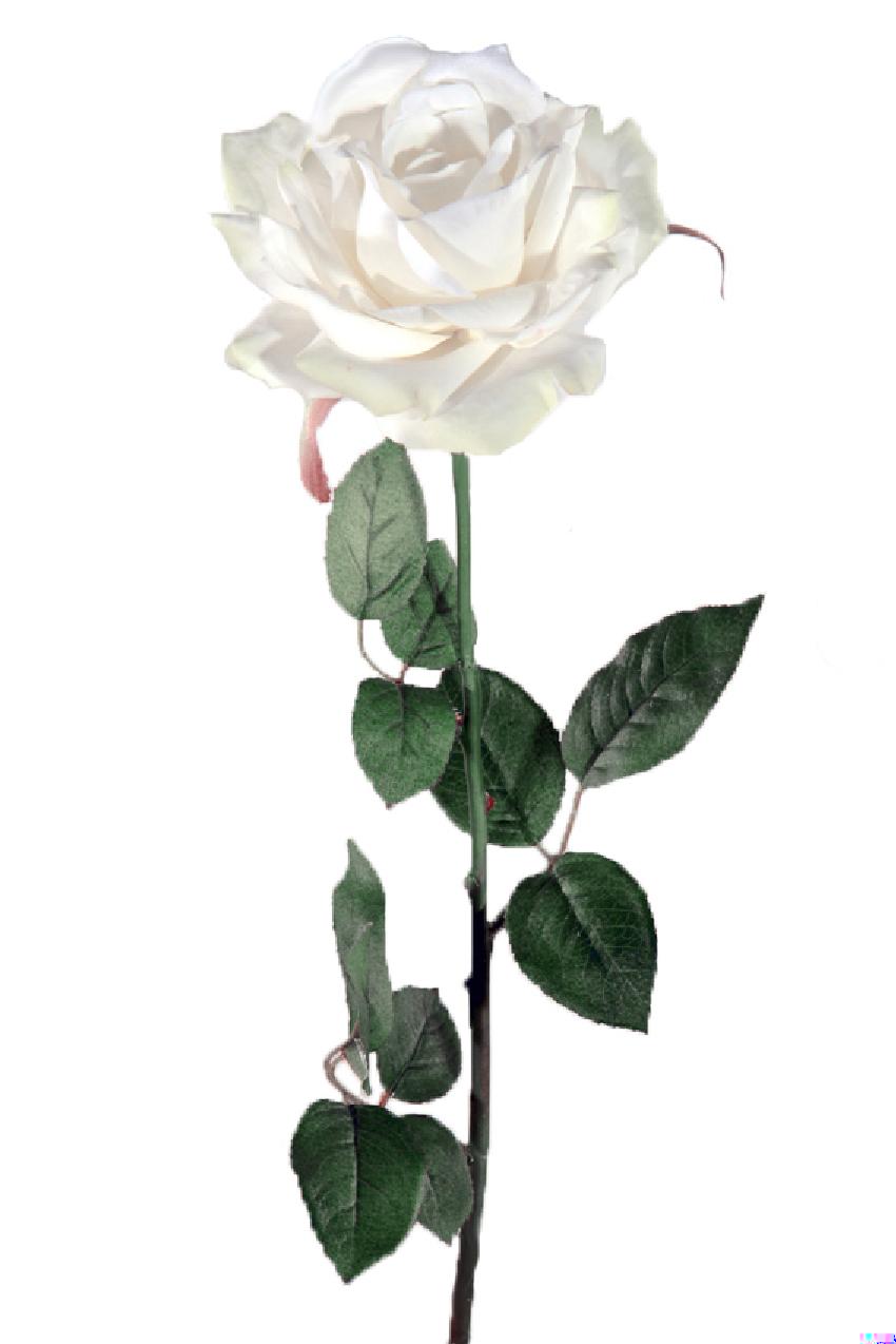 1238080.jpg Rosa Glory crema - Ø14x70cm - Imagen 1
